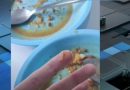 Polêmica na merenda escolar
