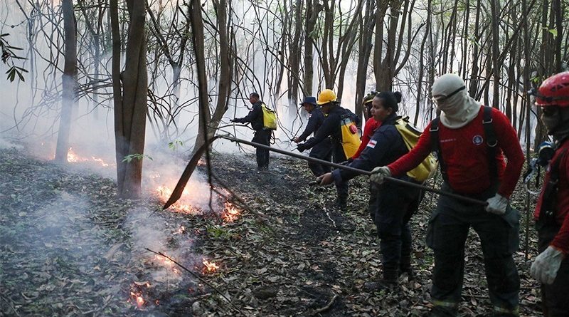 Amazonas avança no combate às queimadas e ao desmatamento
