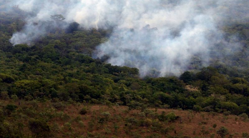 África e Ásia impulsionam queda das emissões