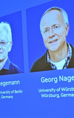 Karl Deisseroth, Peter Hegemann e Georg Nagel ganham Nobel de Fisiologia ou Medicina de 2026 5 de outubro de 2026 Agência de Notícias TT/Pontus Lundahl/via REUTERS