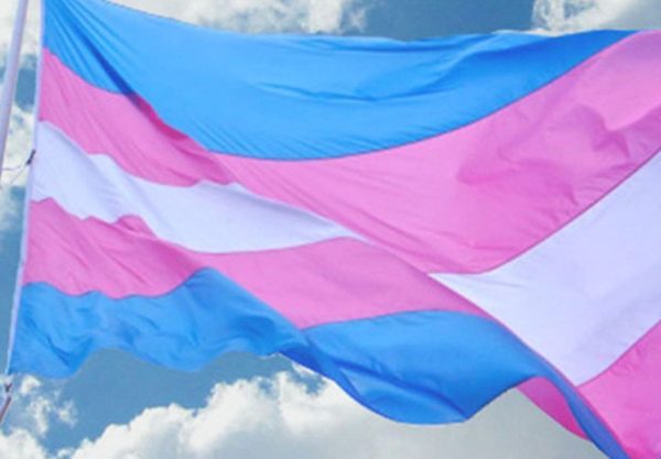São Paulo (SP), 16/04/2025 - Bandeira da Associação Nacional de Travestis e Transexuais. Foto: Antra/Divulgação